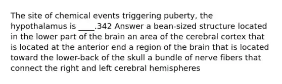 The site of chemical events triggering puberty, the hypothalamus is ____.342 Answer a bean-sized structure located in the lower part of <a href='https://www.questionai.com/knowledge/kLMtJeqKp6-the-brain' class='anchor-knowledge'>the brain</a> an area of <a href='https://www.questionai.com/knowledge/kcT4ZRn753-the-cerebral-cortex' class='anchor-knowledge'>the cerebral cortex</a> that is located at the anterior end a region of the brain that is located toward the lower-back of the skull a bundle of nerve fibers that connect the right and left <a href='https://www.questionai.com/knowledge/kg5uT2jsmC-cerebral-hemispheres' class='anchor-knowledge'>cerebral hemispheres</a>