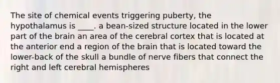 The site of chemical events triggering puberty, the hypothalamus is ____. a bean-sized structure located in the lower part of <a href='https://www.questionai.com/knowledge/kLMtJeqKp6-the-brain' class='anchor-knowledge'>the brain</a> an area of the cerebral cortex that is located at the anterior end a region of the brain that is located toward the lower-back of the skull a bundle of nerve fibers that connect the right and left cerebral hemispheres