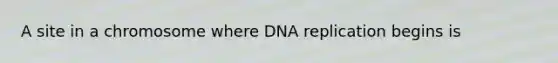 A site in a chromosome where <a href='https://www.questionai.com/knowledge/kofV2VQU2J-dna-replication' class='anchor-knowledge'>dna replication</a> begins is