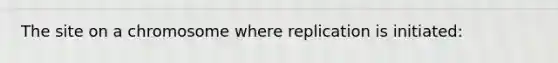 The site on a chromosome where replication is initiated: