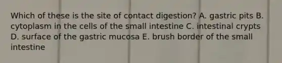 Which of these is the site of contact digestion? A. gastric pits B. cytoplasm in the cells of the small intestine C. intestinal crypts D. surface of the gastric mucosa E. brush border of the small intestine