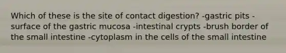 Which of these is the site of contact digestion? -gastric pits -surface of the gastric mucosa -intestinal crypts -brush border of the small intestine -cytoplasm in the cells of the small intestine