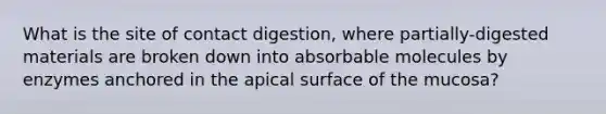 What is the site of contact digestion, where partially-digested materials are broken down into absorbable molecules by enzymes anchored in the apical surface of the mucosa?