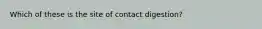 Which of these is the site of contact digestion?