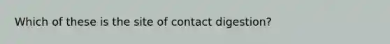 Which of these is the site of contact digestion?