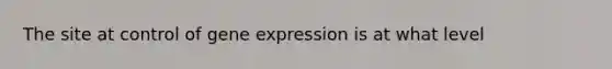 The site at control of <a href='https://www.questionai.com/knowledge/kFtiqWOIJT-gene-expression' class='anchor-knowledge'>gene expression</a> is at what level