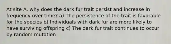 At site A, why does the dark fur trait persist and increase in frequency over time? a) The persistence of the trait is favorable for the species b) Individuals with dark fur are more likely to have surviving offspring c) The dark fur trait continues to occur by random mutation