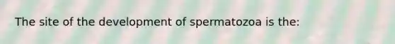 The site of the development of spermatozoa is the: