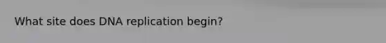 What site does <a href='https://www.questionai.com/knowledge/kofV2VQU2J-dna-replication' class='anchor-knowledge'>dna replication</a> begin?