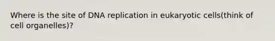 Where is the site of DNA replication in eukaryotic cells(think of cell organelles)?