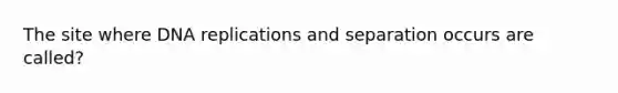 The site where DNA replications and separation occurs are called?