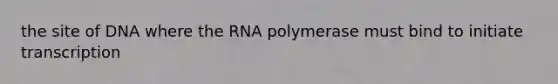 the site of DNA where the RNA polymerase must bind to initiate transcription