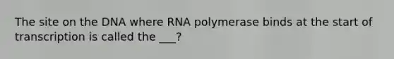 The site on the DNA where RNA polymerase binds at the start of transcription is called the ___?