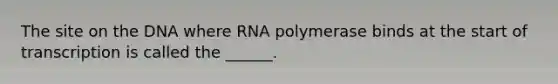 The site on the DNA where RNA polymerase binds at the start of transcription is called the ______.