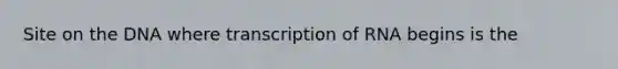 Site on the DNA where transcription of RNA begins is the