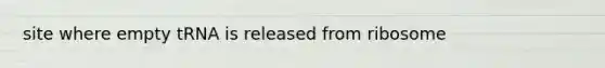 site where empty tRNA is released from ribosome