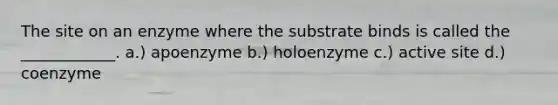 The site on an enzyme where the substrate binds is called the ____________. a.) apoenzyme b.) holoenzyme c.) active site d.) coenzyme