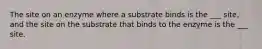 The site on an enzyme where a substrate binds is the ___ site, and the site on the substrate that binds to the enzyme is the ___ site.