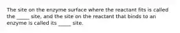 The site on the enzyme surface where the reactant fits is called the _____ site, and the site on the reactant that binds to an enzyme is called its _____ site.