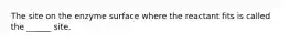 The site on the enzyme surface where the reactant fits is called the ______ site.