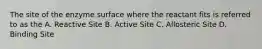 The site of the enzyme surface where the reactant fits is referred to as the A. Reactive Site B. Active Site C. Allosteric Site D. Binding Site