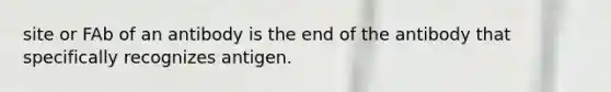 site or FAb of an antibody is the end of the antibody that specifically recognizes antigen.