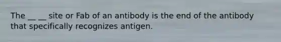 The __ __ site or Fab of an antibody is the end of the antibody that specifically recognizes antigen.