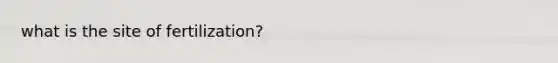 what is the site of fertilization?