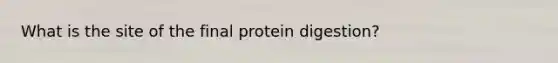 What is the site of the final protein digestion?