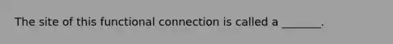 The site of this functional connection is called a _______.