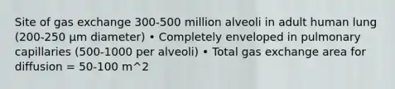 Site of gas exchange 300-500 million alveoli in adult human lung (200-250 µm diameter) • Completely enveloped in pulmonary capillaries (500-1000 per alveoli) • Total gas exchange area for diffusion = 50-100 m^2