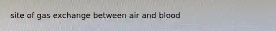 site of gas exchange between air and blood