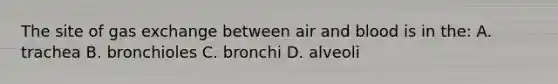 The site of <a href='https://www.questionai.com/knowledge/kU8LNOksTA-gas-exchange' class='anchor-knowledge'>gas exchange</a> between air and blood is in the: A. trachea B. bronchioles C. bronchi D. alveoli