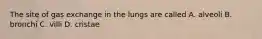The site of gas exchange in the lungs are called A. alveoli B. bronchi C. villi D. cristae