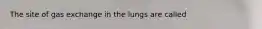 The site of gas exchange in the lungs are called