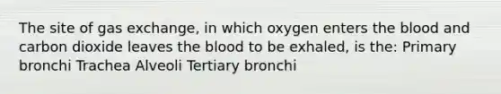 The site of <a href='https://www.questionai.com/knowledge/kU8LNOksTA-gas-exchange' class='anchor-knowledge'>gas exchange</a>, in which oxygen enters <a href='https://www.questionai.com/knowledge/k7oXMfj7lk-the-blood' class='anchor-knowledge'>the blood</a> and carbon dioxide leaves the blood to be exhaled, is the: Primary bronchi Trachea Alveoli Tertiary bronchi