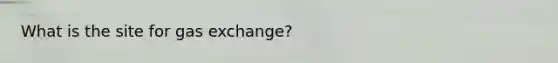 What is the site for gas exchange?