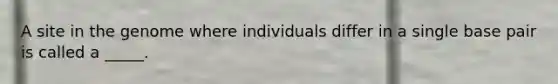 A site in the genome where individuals differ in a single base pair is called a _____.