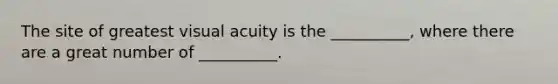 The site of greatest visual acuity is the __________, where there are a great number of __________.