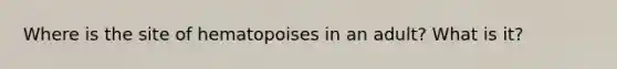 Where is the site of hematopoises in an adult? What is it?