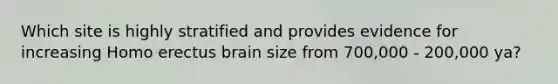 Which site is highly stratified and provides evidence for increasing Homo erectus brain size from 700,000 - 200,000 ya?