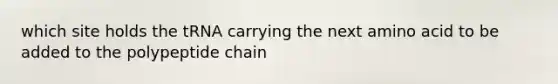 which site holds the tRNA carrying the next amino acid to be added to the polypeptide chain