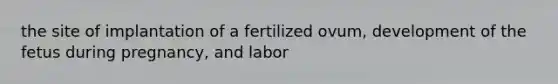 the site of implantation of a fertilized ovum, development of the fetus during pregnancy, and labor