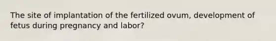 The site of implantation of the fertilized ovum, development of fetus during pregnancy and labor?