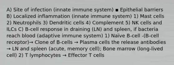 A) Site of infection (innate immune system) ▪ Epithelial barriers B) Localized inflammation (innate immune system) 1) Mast cells 2) Neutrophils 3) Dendritic cells 4) Complement 5) NK cells and ILCs C) B-cell response in draining (LN) and spleen, if bacteria reach blood (adaptive immune system) 1) Naïve B-cell -(B-cell receptor)→ Clone of B-cells → Plasma cells the release antibodies → LN and spleen (acute, memory cell); Bone marrow (long-lived cell) 2) T lymphocytes → Effector T cells