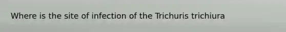 Where is the site of infection of the Trichuris trichiura