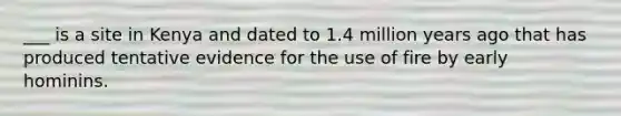 ___ is a site in Kenya and dated to 1.4 million years ago that has produced tentative evidence for the use of fire by early hominins.