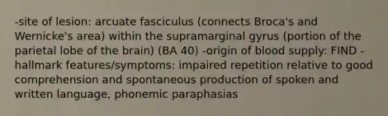 -site of lesion: arcuate fasciculus (connects Broca's and Wernicke's area) within the supramarginal gyrus (portion of the parietal lobe of <a href='https://www.questionai.com/knowledge/kLMtJeqKp6-the-brain' class='anchor-knowledge'>the brain</a>) (BA 40) -origin of blood supply: FIND -hallmark features/symptoms: impaired repetition relative to good comprehension and spontaneous production of spoken and written language, phonemic paraphasias