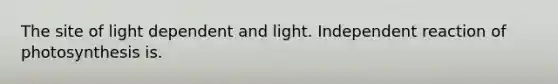 The site of light dependent and light. Independent reaction of photosynthesis is.