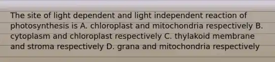 The site of light dependent and light independent reaction of photosynthesis is A. chloroplast and mitochondria respectively B. cytoplasm and chloroplast respectively C. thylakoid membrane and stroma respectively D. grana and mitochondria respectively